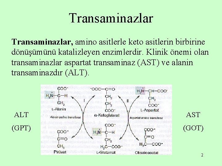 Transaminazlar, amino asitlerle keto asitlerin birbirine dönüşümünü katalizleyen enzimlerdir. Klinik önemi olan transaminazlar aspartat