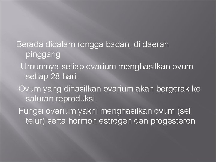 Berada didalam rongga badan, di daerah pinggang Umumnya setiap ovarium menghasilkan ovum setiap 28