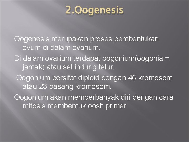 2. Oogenesis merupakan proses pembentukan ovum di dalam ovarium. Di dalam ovarium terdapat oogonium(oogonia