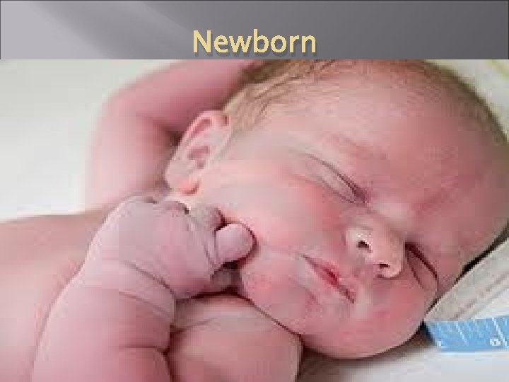 Newborn 