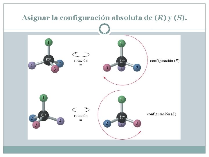 Asignar la configuración absoluta de (R) y (S). Asignar la configuración absoluta de (R) y (S).
