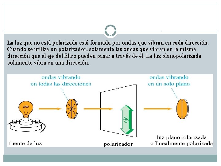 La luz que no está polarizada está formada por ondas que vibran en cada La luz que no está polarizada está formada por ondas que vibran en cada