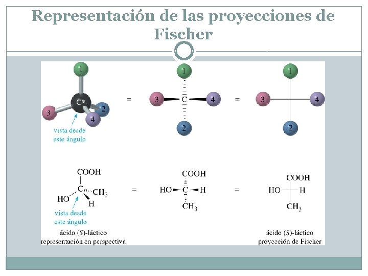 Representación de las proyecciones de Fischer Representación de las proyecciones de Fischer