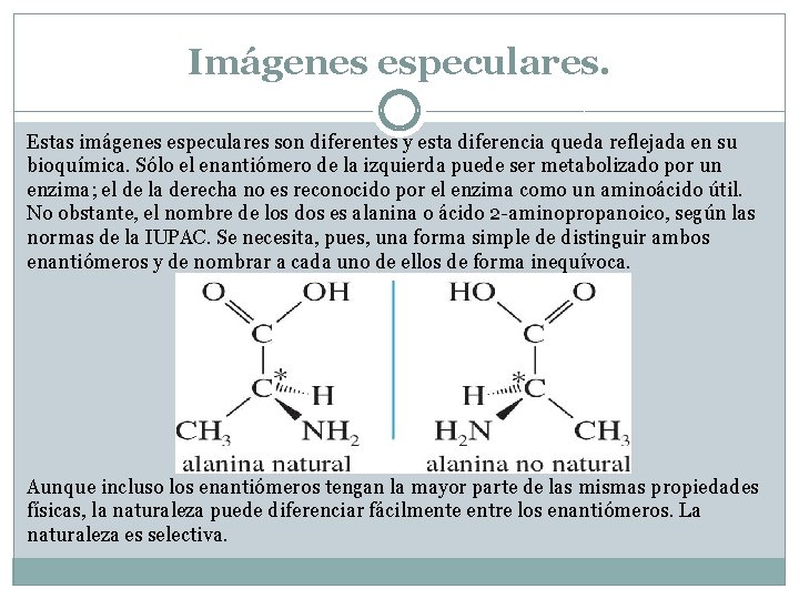 Imágenes especulares. Estas imágenes especulares son diferentes y esta diferencia queda reflejada en su Imágenes especulares. Estas imágenes especulares son diferentes y esta diferencia queda reflejada en su