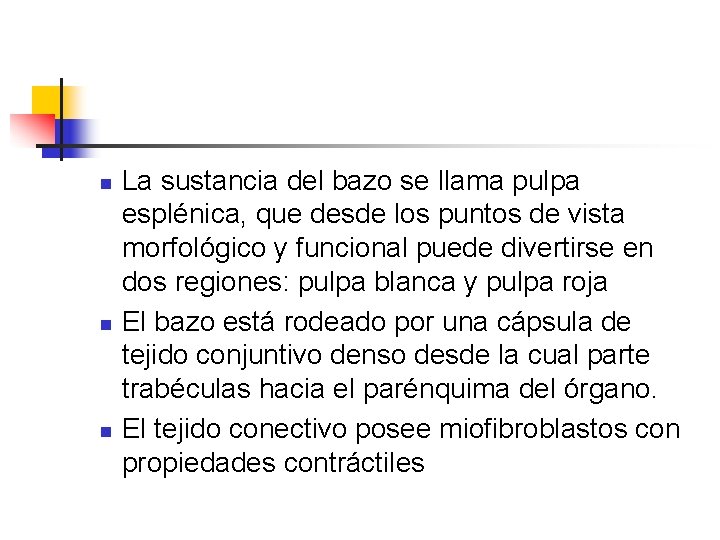 n n n La sustancia del bazo se llama pulpa esplénica, que desde los