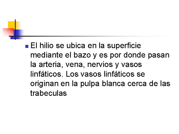 n El hilio se ubica en la superficie mediante el bazo y es por