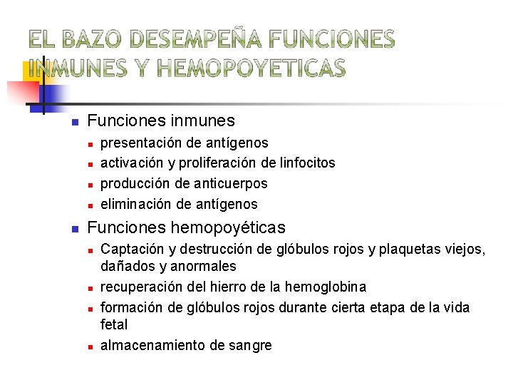 n Funciones inmunes n n n presentación de antígenos activación y proliferación de linfocitos