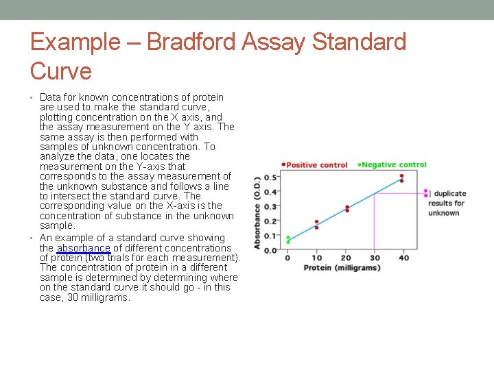 Example – Bradford Assay Standard Curve • Data for known concentrations of protein are