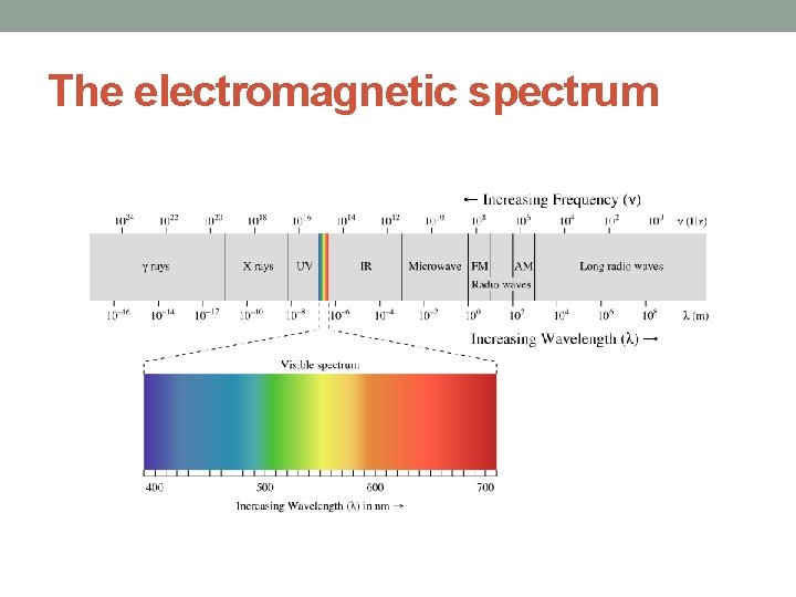 The electromagnetic spectrum 