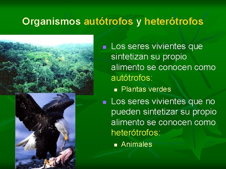 EL CONTROL DE LAS ACTIVIDADES CELULARES LAS REACCIONES