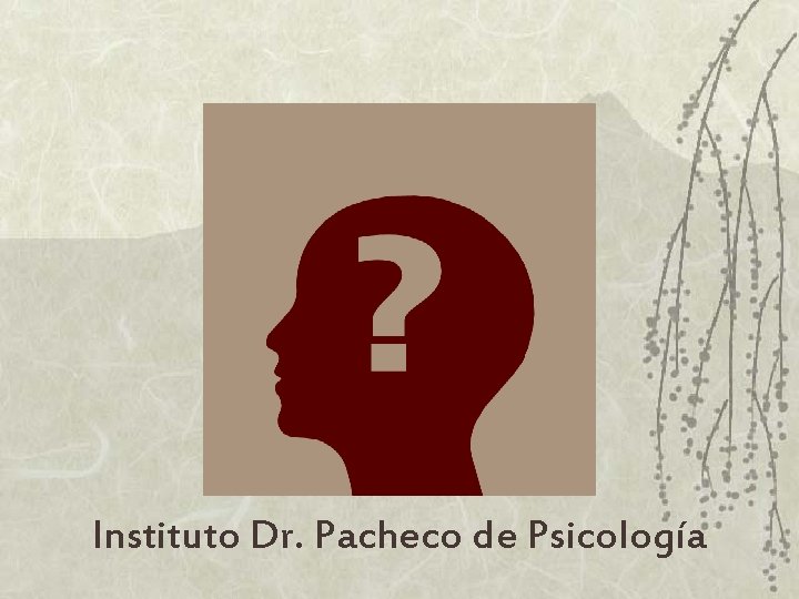 Instituto Dr. Pacheco de Psicología 