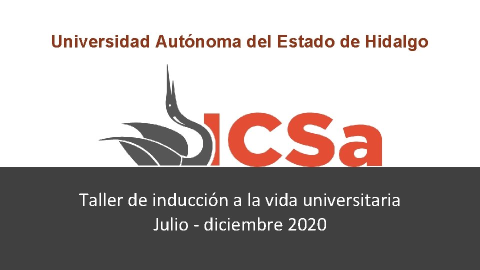 Universidad Autónoma del Estado de Hidalgo Taller de inducción a la vida universitaria Julio Universidad Autónoma del Estado de Hidalgo Taller de inducción a la vida universitaria Julio