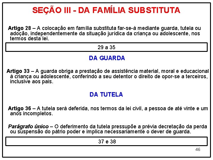 SEÇÃO III - DA FAMÍLIA SUBSTITUTA Artigo 28 – A colocação em família substituta