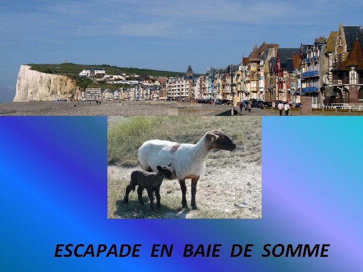 ESCAPADE EN BAIE DE SOMME 