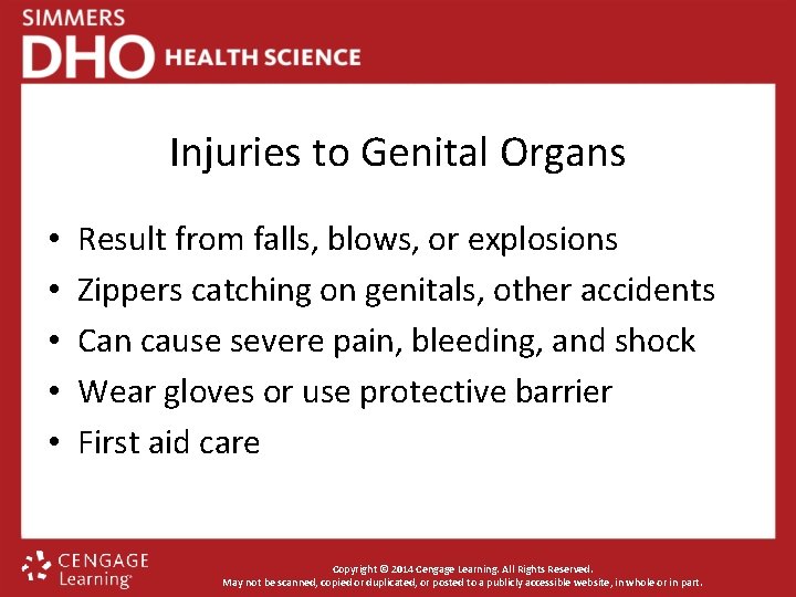 Injuries to Genital Organs • • • Result from falls, blows, or explosions Zippers