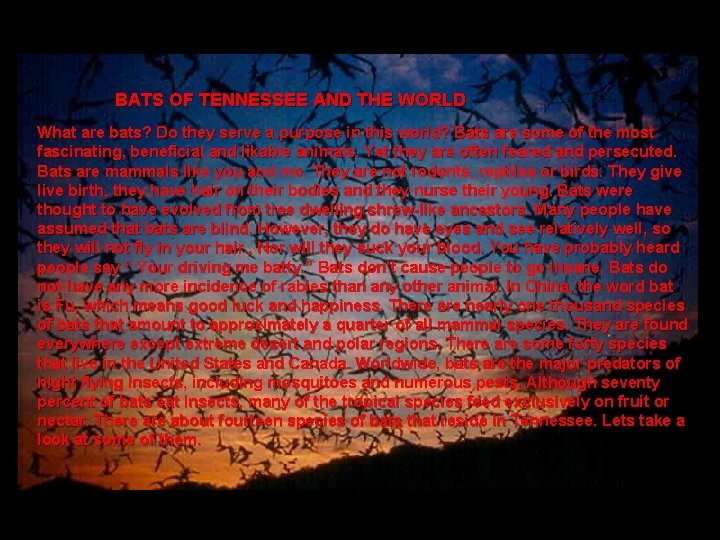 BATS OF TENNESSEE AND THE WORLD What are bats? Do they serve a purpose