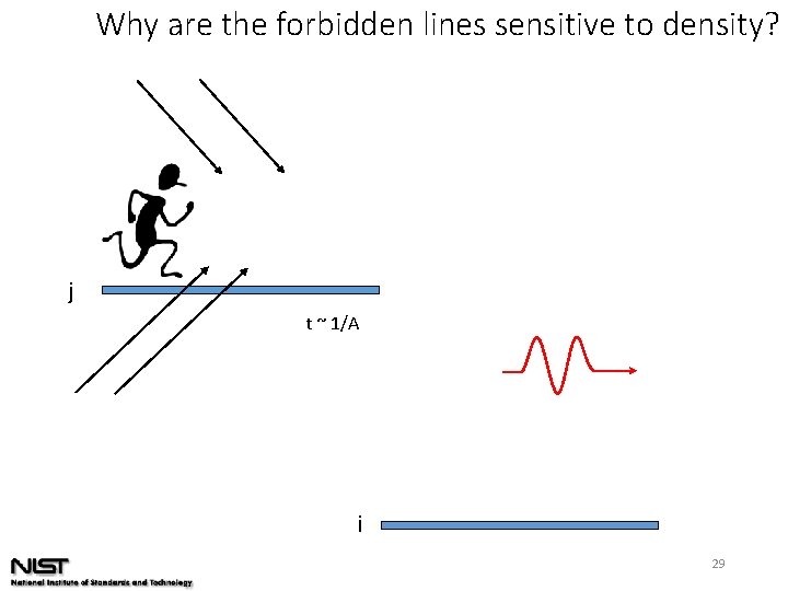 Why are the forbidden lines sensitive to density? j t ~ 1/A i 29