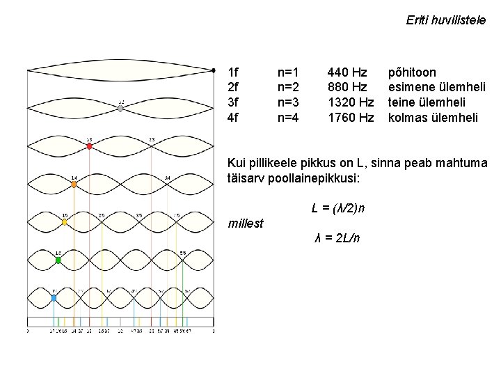 Eriti huvilistele 1 f 2 f 3 f 4 f n=1 n=2 n=3 n=4