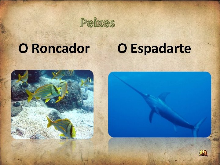 Peixes O Roncador O Espadarte Peixes O Roncador O Espadarte