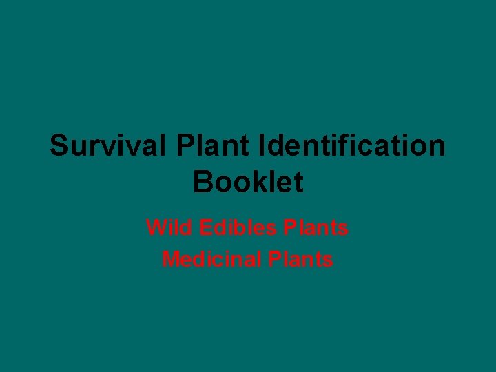 Survival Plant Identification Booklet Wild Edibles Plants Medicinal Plants 