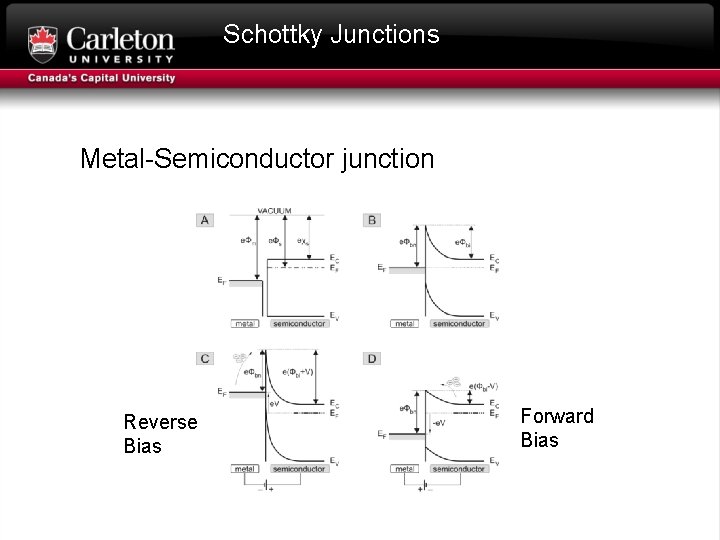Schottky Junctions Metal-Semiconductor junction Reverse Bias Forward Bias 