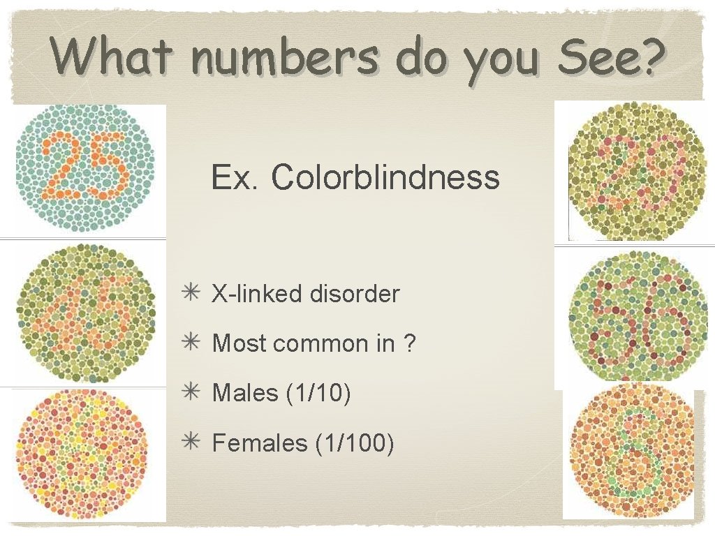 What numbers do you See? Ex. Colorblindness X-linked disorder Most common in ? Males