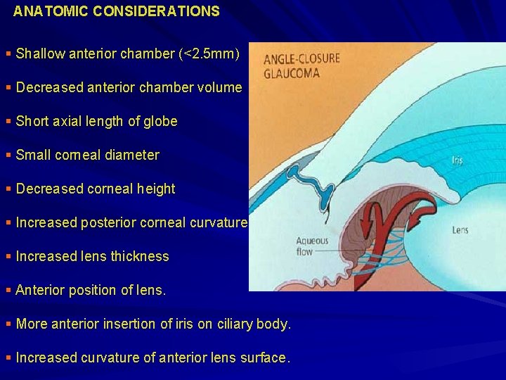 ANATOMIC CONSIDERATIONS § Shallow anterior chamber (<2. 5 mm) § Decreased anterior chamber volume ANATOMIC CONSIDERATIONS § Shallow anterior chamber (<2. 5 mm) § Decreased anterior chamber volume