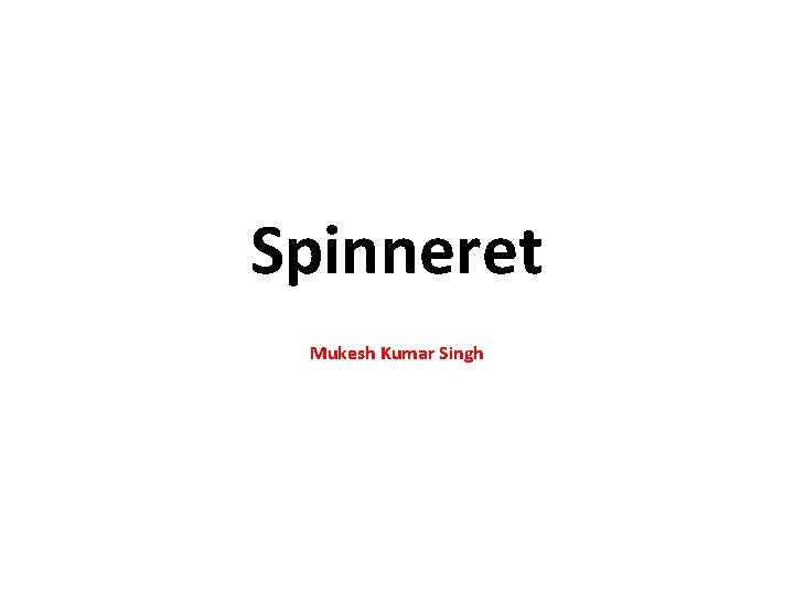 Spinneret Mukesh Kumar Singh 