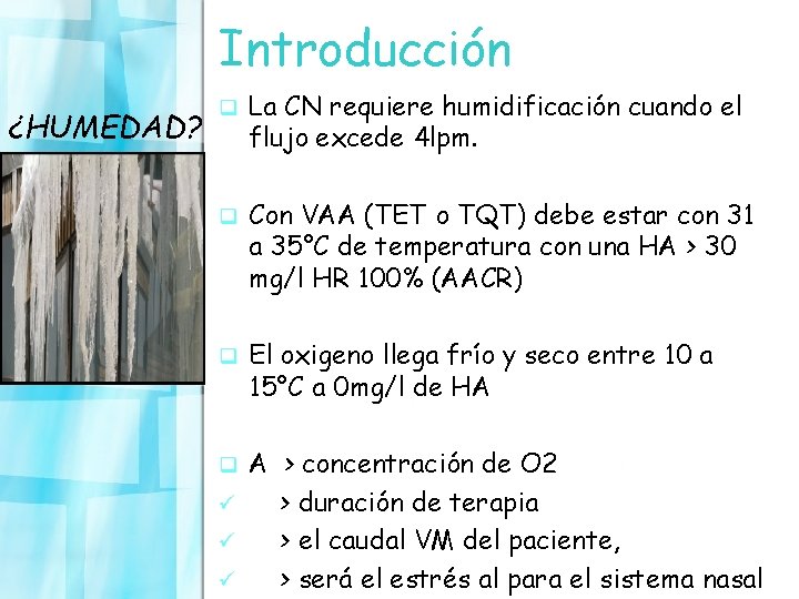 Introducción ¿HUMEDAD? q La CN requiere humidificación cuando el flujo excede 4 lpm. q