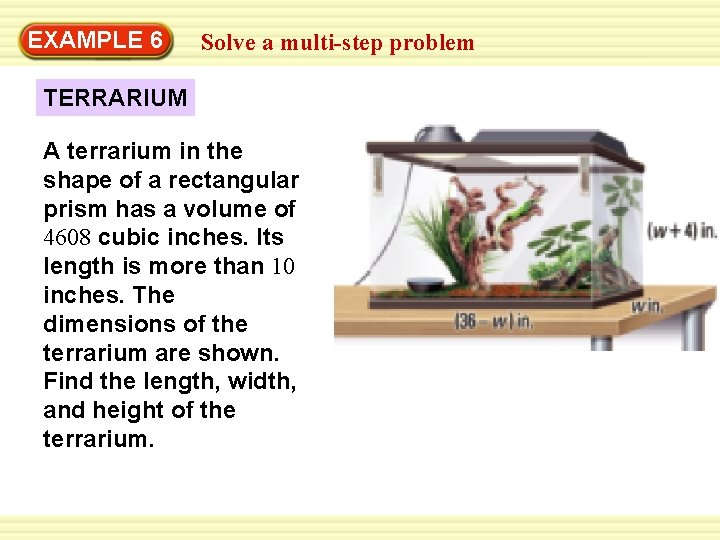 EXAMPLE 6 Solve a multi-step problem TERRARIUM A terrarium in the shape of a