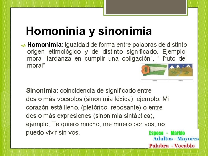 Homoninia y sinonimia Homonimia: igualdad de forma entre palabras de distinto origen etimológico y