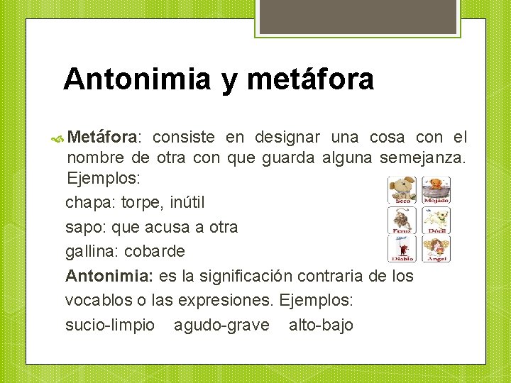 Antonimia y metáfora Metáfora: consiste en designar una cosa con el nombre de otra
