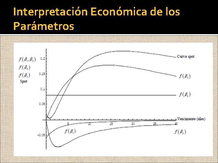 Interpretación Económica de los Parámetros 