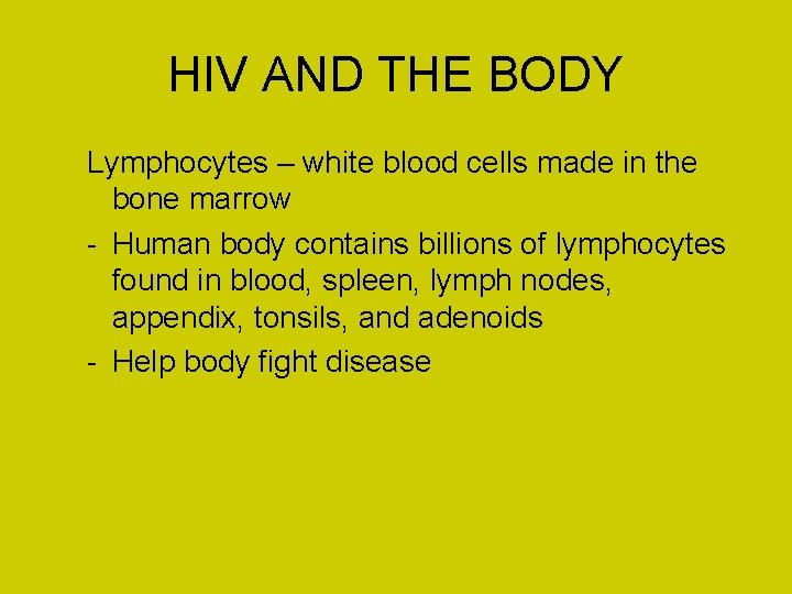 HIV AND THE BODY Lymphocytes – white blood cells made in the bone marrow