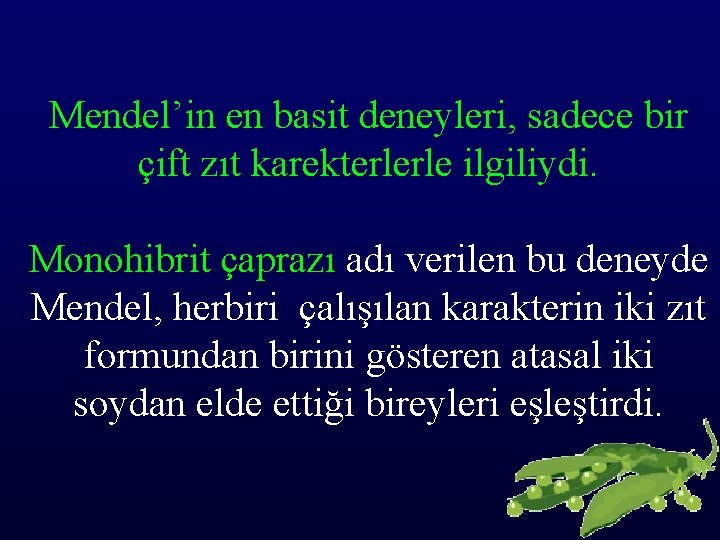 Mendel’in en basit deneyleri, sadece bir çift zıt karekterlerle ilgiliydi. Monohibrit çaprazı adı verilen