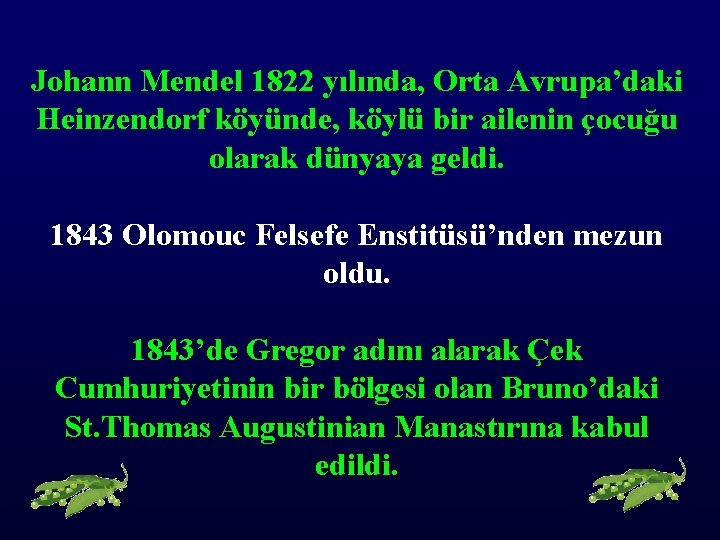 Johann Mendel 1822 yılında, Orta Avrupa’daki Heinzendorf köyünde, köylü bir ailenin çocuğu olarak dünyaya
