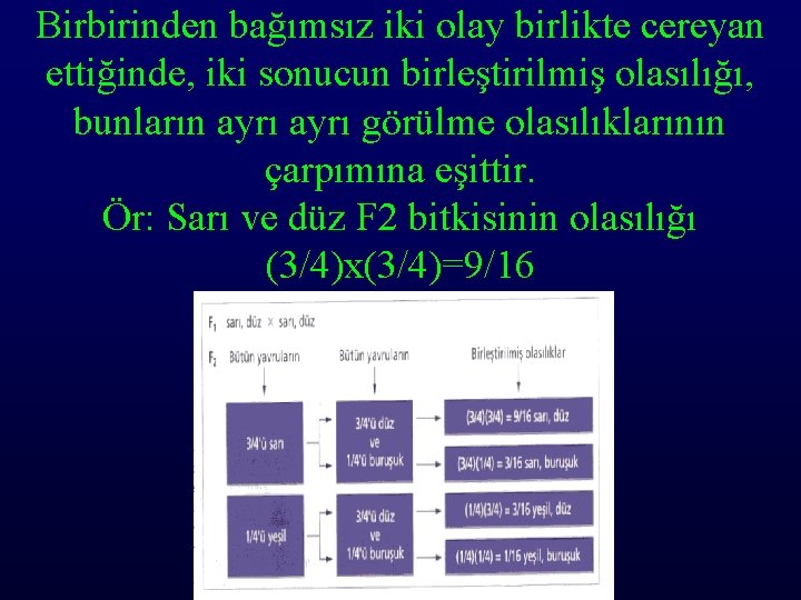 Birbirinden bağımsız iki olay birlikte cereyan ettiğinde, iki sonucun birleştirilmiş olasılığı, bunların ayrı görülme