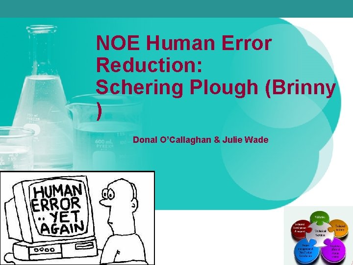 NOE Human Error Reduction: Schering Plough (Brinny ) Donal O’Callaghan & Julie Wade 