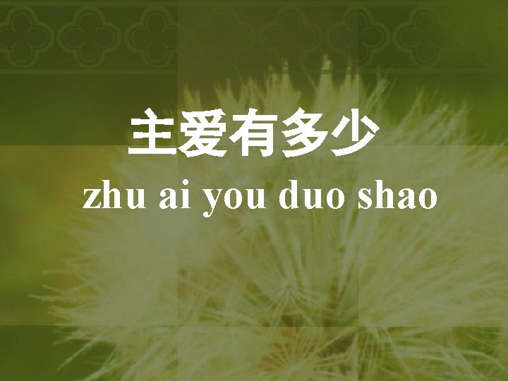 主爱有多少 zhu ai you duo shao 