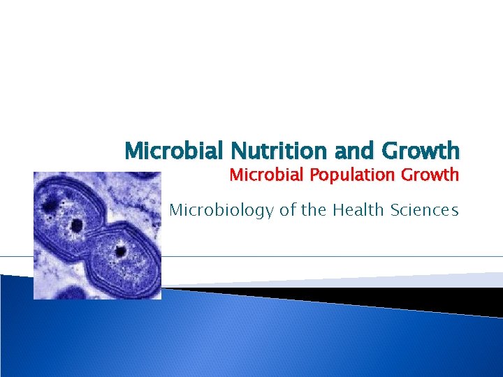 Microbial Nutrition and Growth Microbial Population Growth Microbiology of the Health Sciences 