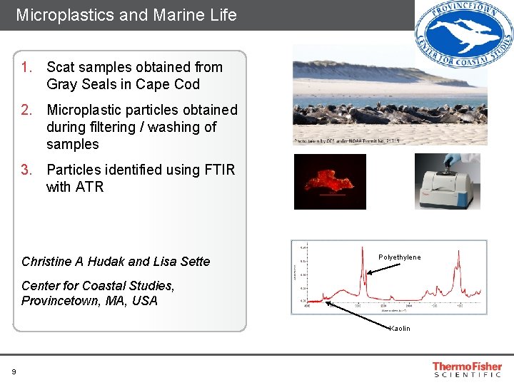 Microplastics and Marine Life 1. Scat samples obtained from Gray Seals in Cape Cod