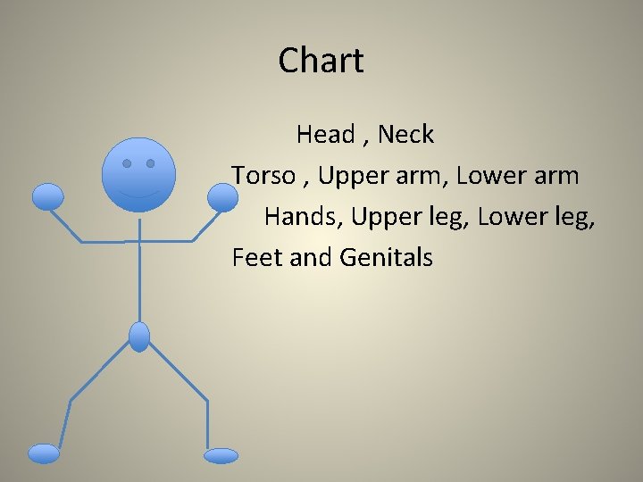 Chart Head , Neck Torso , Upper arm, Lower arm Hands, Upper leg, Lower