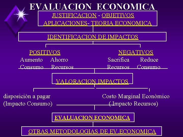 EVALUACION ECONOMICA Y SOCIAL DE PROYECTOS TIPOS DE