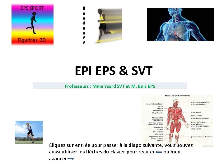 EPI EPS & SVT Professeurs : Mme Ysard SVT et M. Bois EPS Cliquez