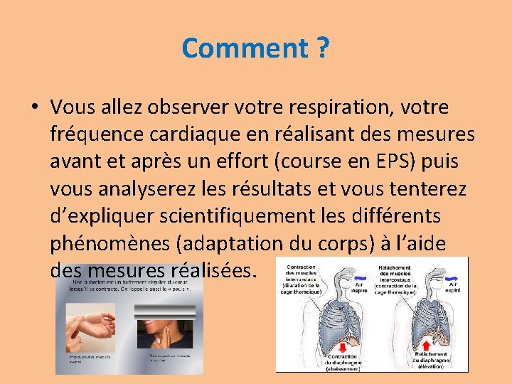 Comment ? • Vous allez observer votre respiration, votre fréquence cardiaque en réalisant des