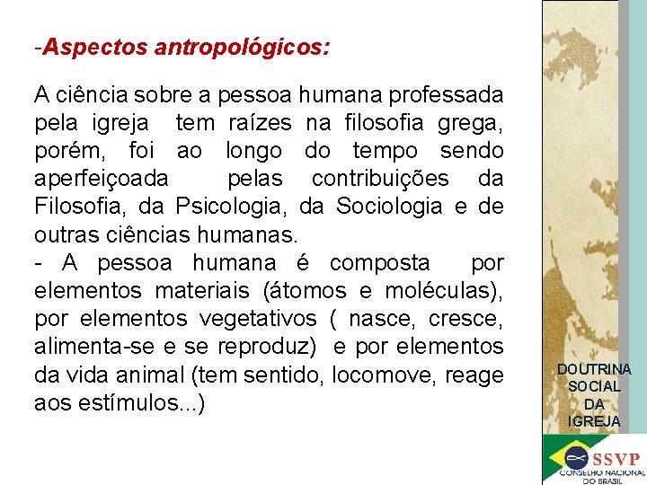 -Aspectos antropológicos: A ciência sobre a pessoa humana professada pela igreja tem raízes na