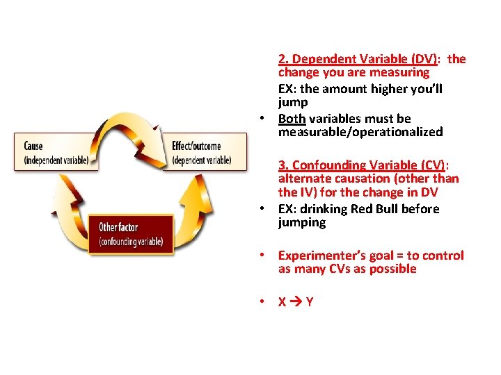 2. Dependent Variable (DV): the change you are measuring EX: the amount higher you’ll