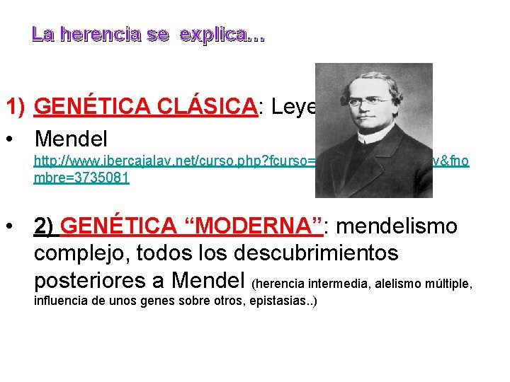 La herencia se explica… 1) GENÉTICA CLÁSICA: Leyes de • Mendel http: //www. ibercajalav.