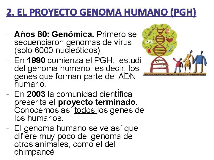 2. EL PROYECTO GENOMA HUMANO (PGH) - Años 80: Genómica. Primero se secuenciaron genomas