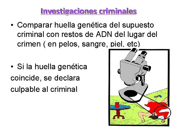 Investigaciones criminales • Comparar huella genética del supuesto criminal con restos de ADN del